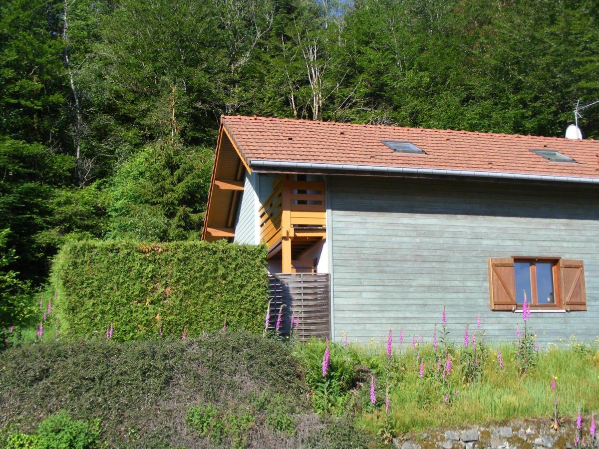 Le Chalet Saint-Nabord Luaran gambar